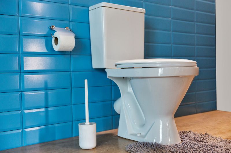 Bidet Repair Service in Denver, CO